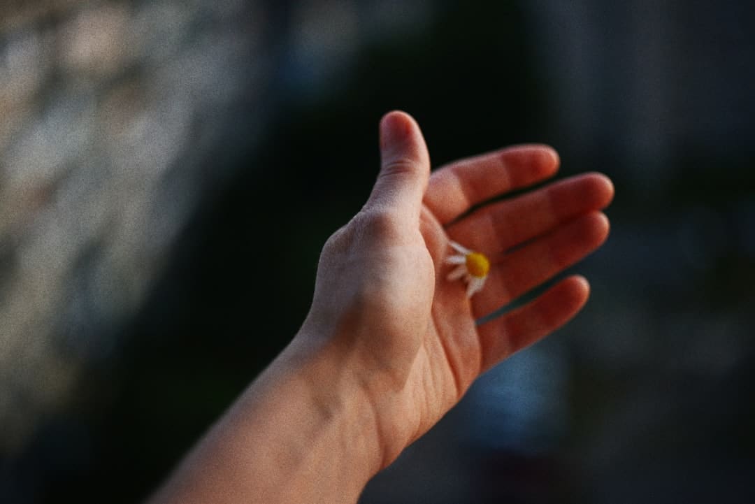 深度链接观众,看金鸡奖怎么花式打造线上沉溺感